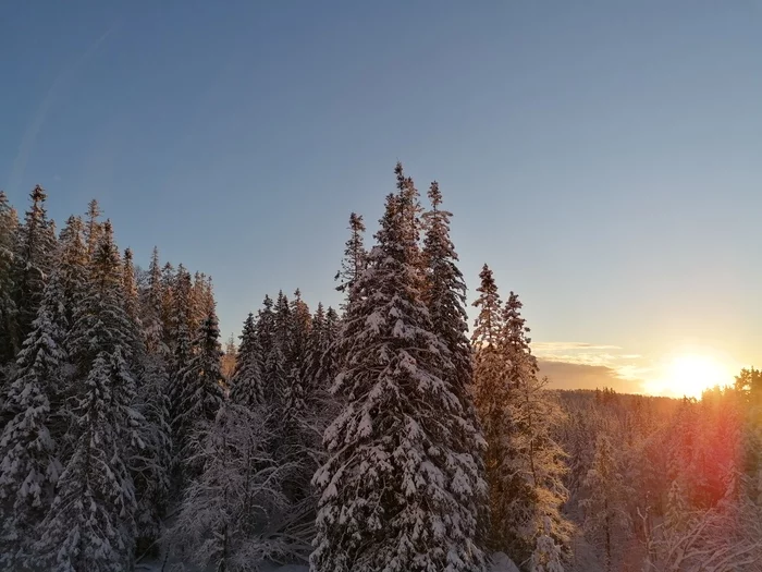 The beauty of the winter forest - Mobile photography, Norway, Longpost