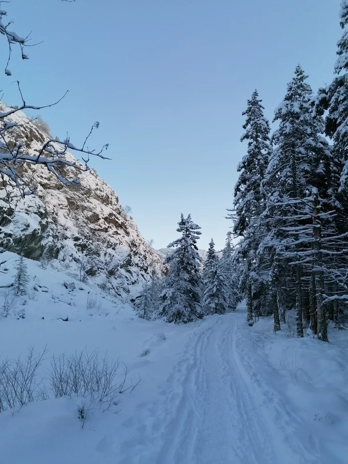 The beauty of the winter forest - Mobile photography, Norway, Longpost