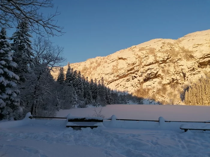 The beauty of the winter forest - Mobile photography, Norway, Longpost