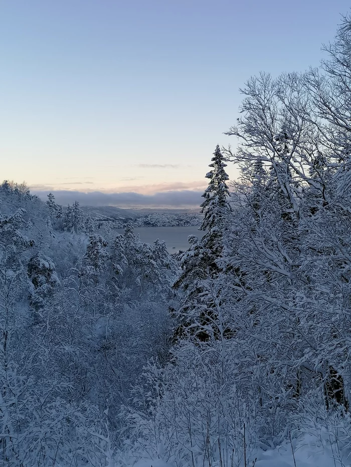 The beauty of the winter forest - Mobile photography, Norway, Longpost