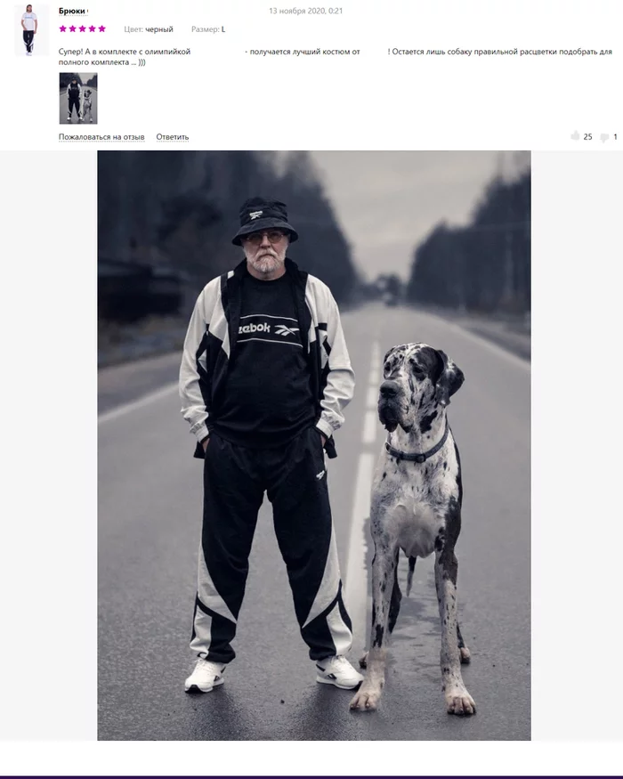Epicness in reviews or “advanced age is not a reason not to be stylish” - My, Dog, Review, Animals, People, Epic, The photo, Fashion, Longpost, Screenshot