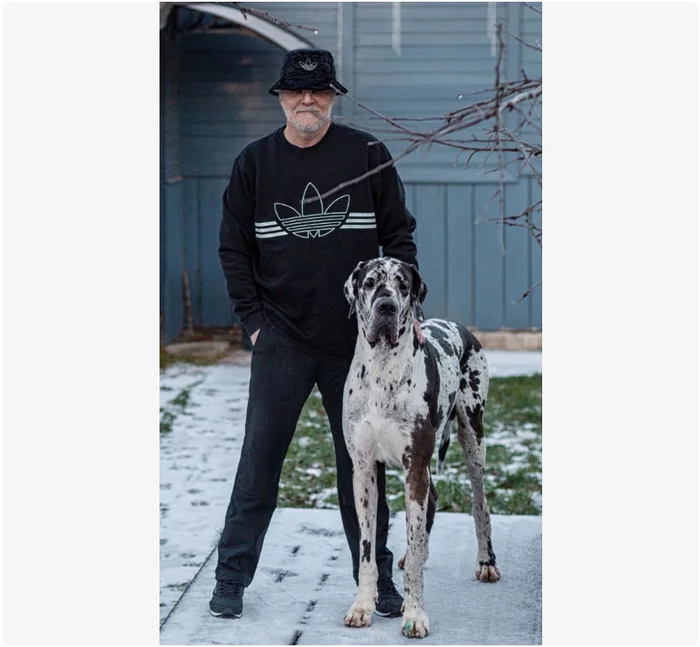 Epicness in reviews or “advanced age is not a reason not to be stylish” - My, Dog, Review, Animals, People, Epic, The photo, Fashion, Longpost, Screenshot