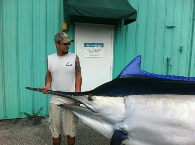 Black marlin: A 500 kg carcass rushes at a speed of 85 km/h! Trolling one of the fastest fish on the planet - A fish, Marlin, Animals, Yandex Zen, Longpost