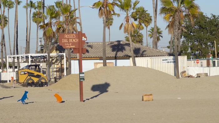 Dog beach in Los Angeles - My, Dog, Beach, Relaxation, The sun, Sand, Weekend, Longpost, USA, Los Angeles