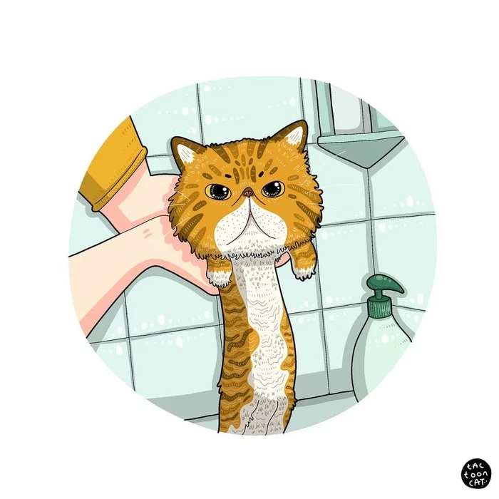 When you're not fat, but just fluffy - cat, Fluffy, Drawing, Tactooncat
