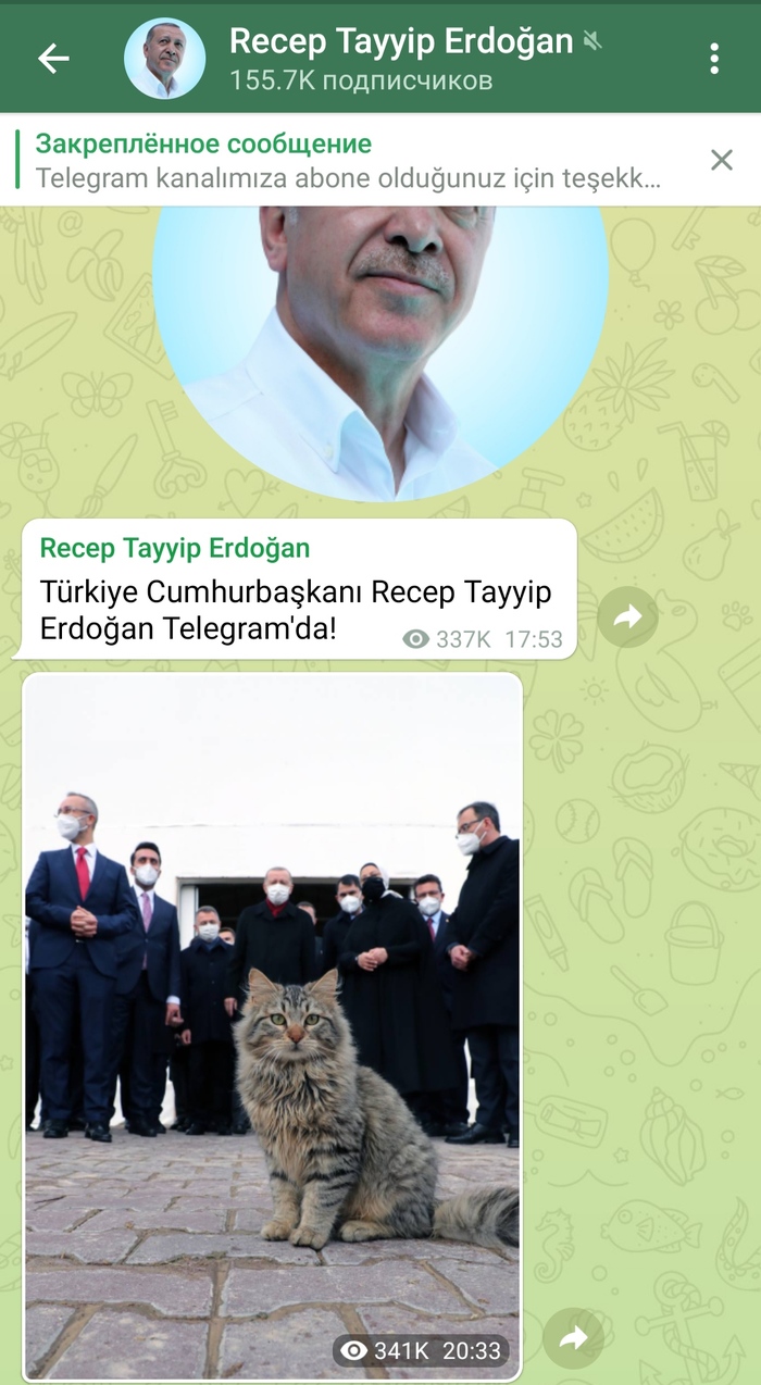 Эрдоган завел телеграм канал