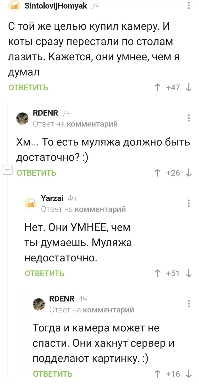 Насколько умны коты? Спасет ли видеонаблюдение от кошачьих проказ) - Кот, Умный, Видеонаблюдение, Комментарии на Пикабу, Длиннопост, Скриншот