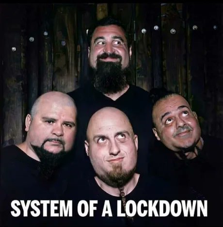 System of a Lockdown