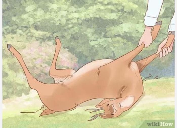 ��� �������� ����� ���������� �� ����