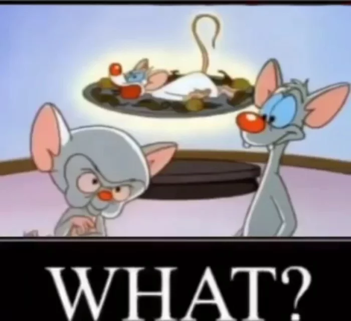 Campaign Brain, in addition to fascist and sadistic inclinations, is also a cannibal. Not to mention heterosexual orientation;) - Pinky and Brain, Villains, Cannibalism, Animated series, USA, Horror