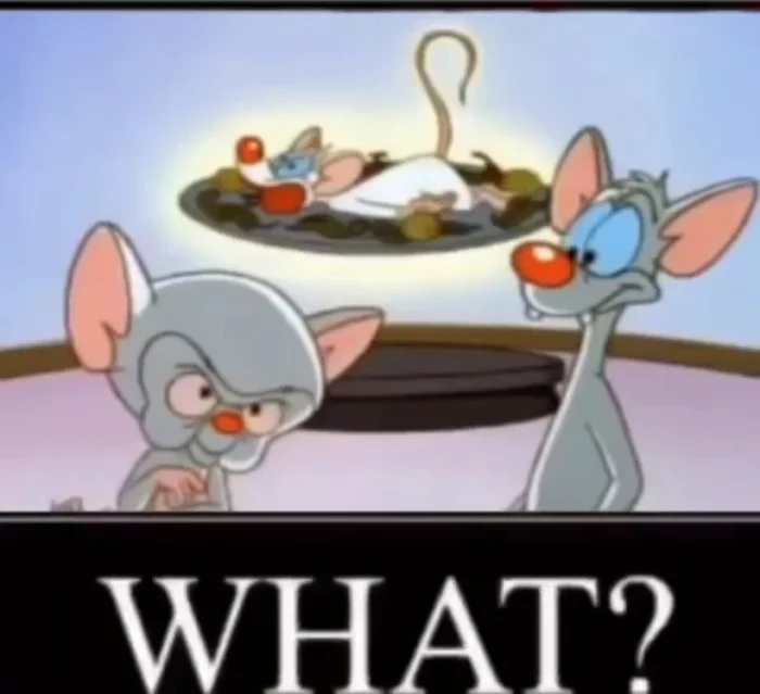 It seems that Brain, in addition to fascist and sadistic inclinations, is also a cannibal. Not to mention heterosexual orientation;) - Pinky and Brain, Villains, Cannibalism, Animated series, USA, Horror