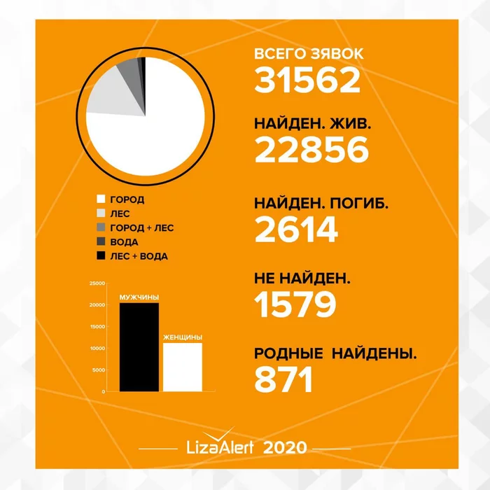 Statistics of the LisaAlert squad for 2020 - Lisa Alert, People search, Volunteers, Statistics