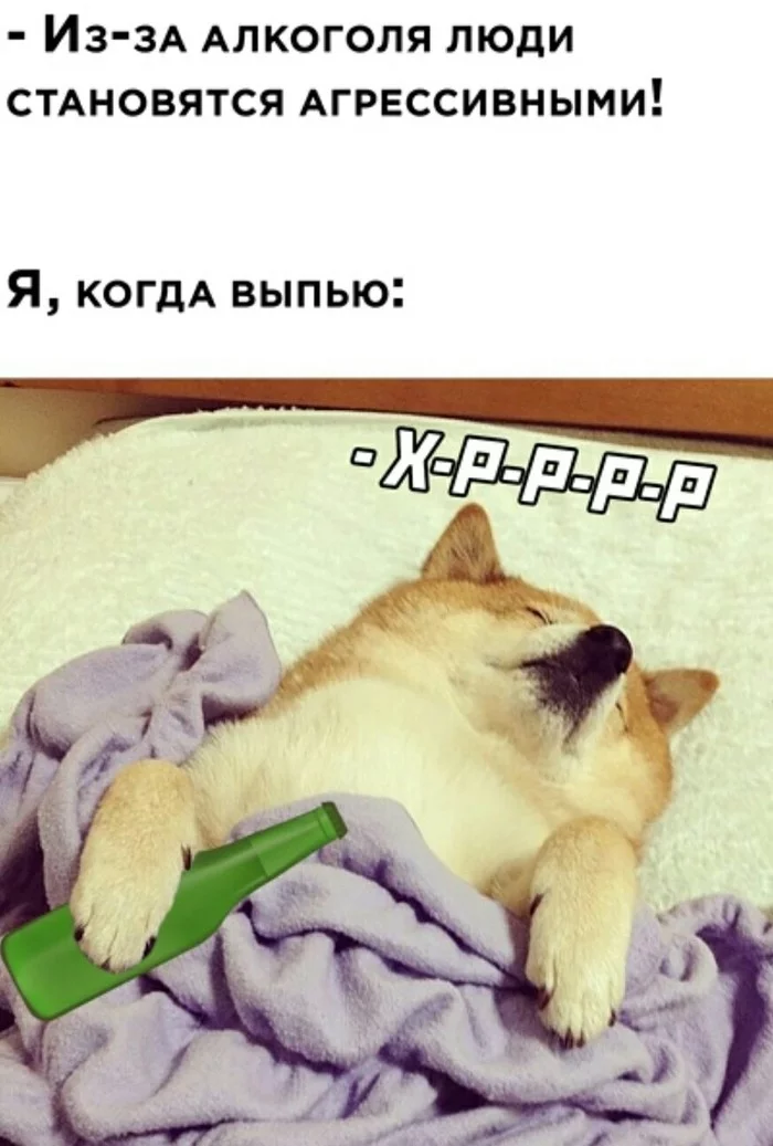 1610737616194139204.webp
