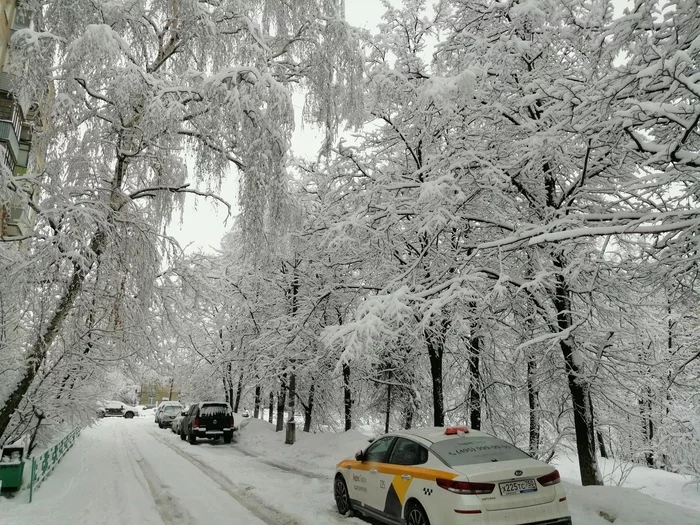 Winter beauty - My, Winter, Snow, No filters, beauty