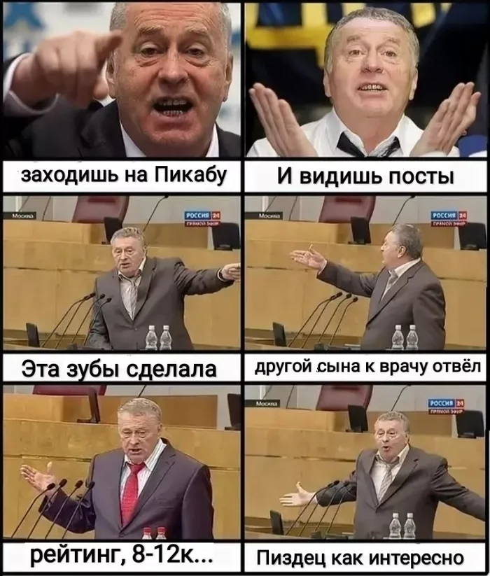 Entertainment Site - My, Vladimir Zhirinovsky, Posts on Peekaboo, How?, Interesting, pros, Rating, Misunderstanding, Sad humor, Mat, Нытье, Negative