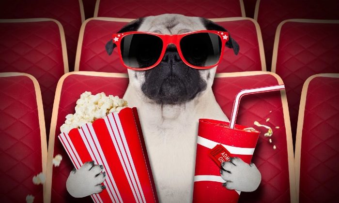 ��������� � ��������� �� ���, ��� ��� � ������ ����� ��� �� ������