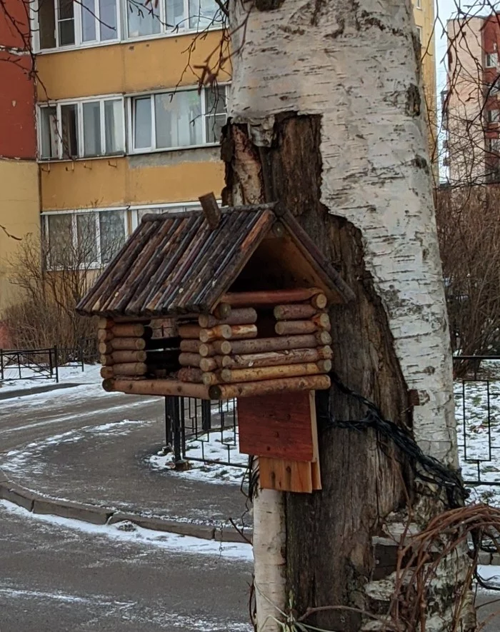 A house for birds, squirrels and everyone, everyone, everyone) - Tree house, Hut, Creation, Positive, Sestroretsk, Birdhouse, The photo, Unknown author