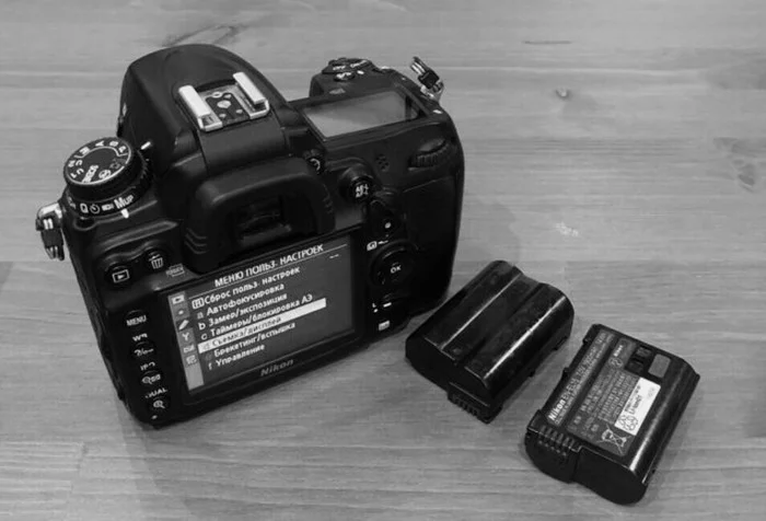 Checking and testing used DSLR cameras when purchasing second-hand - My, Camera, The first camera, Nikon, Nikon d7000, Nikon d90, Nikon d3300, Photographic equipment, The photo, Lithium Ion Batteries, Digital Camera, Camera, Photographer, Longpost