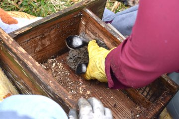 как мы спасли белку. Смотреть фото как мы спасли белку. Смотреть картинку как мы спасли белку. Картинка про как мы спасли белку. Фото как мы спасли белку как мы спасли белку. Смотреть фото как мы спасли белку. Смотреть картинку как мы спасли белку. Картинка про как мы спасли белку. Фото как мы спасли белку