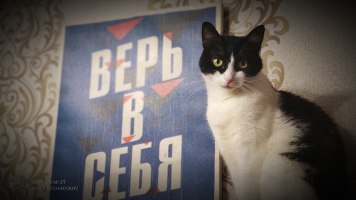 Мотивации пост!Ты вот именно ты!Красавчик (ица) возьми свою судьбу в свои руки!