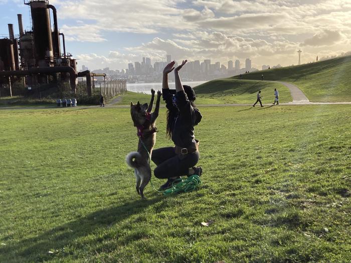 High five! - Dog, High five, Landscape, beauty, The photo