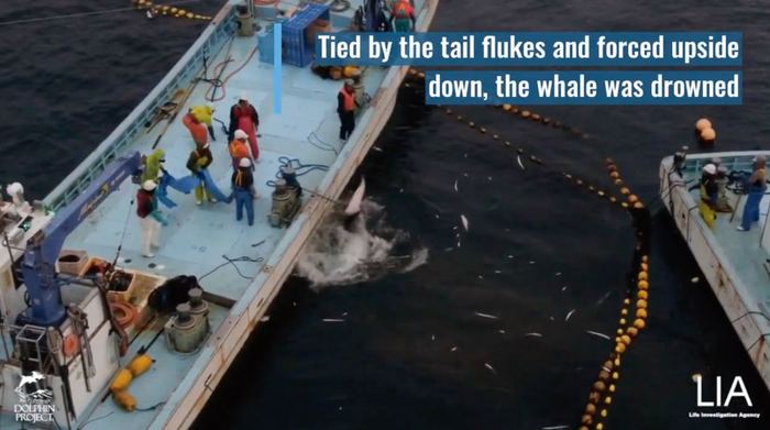 �������� ������� ������� ���� � ����� ����� 19 ����