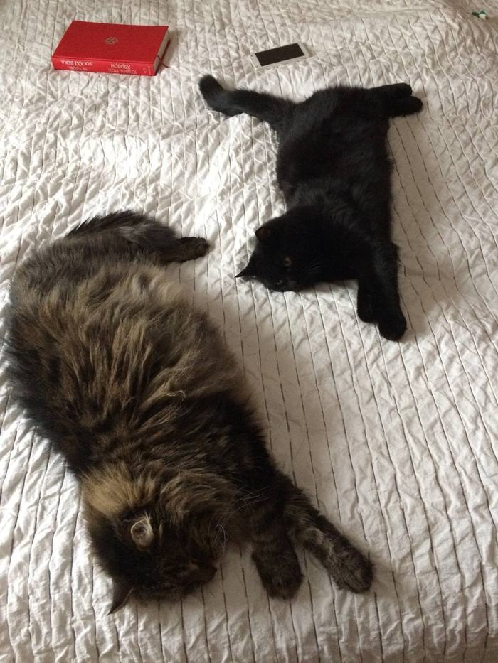 �� �� �����? ������ �� ��������! �