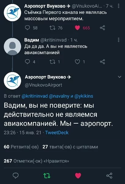 Действительно - Внуково, Политика, Алексей Навальный, Интеллект, Twitter, Аэропорт