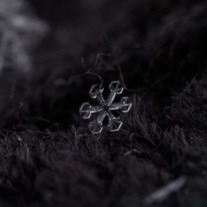 My first macro snowflakes - My, Macro, Macro photography, Snowflake, The photo, Canon, Longpost