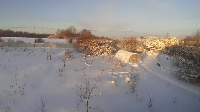 The thermometer at the Marinino biological station recorded a record -31 °C - Temperature record, Nature, Longpost, Ecology, Gardening, Weather forecast