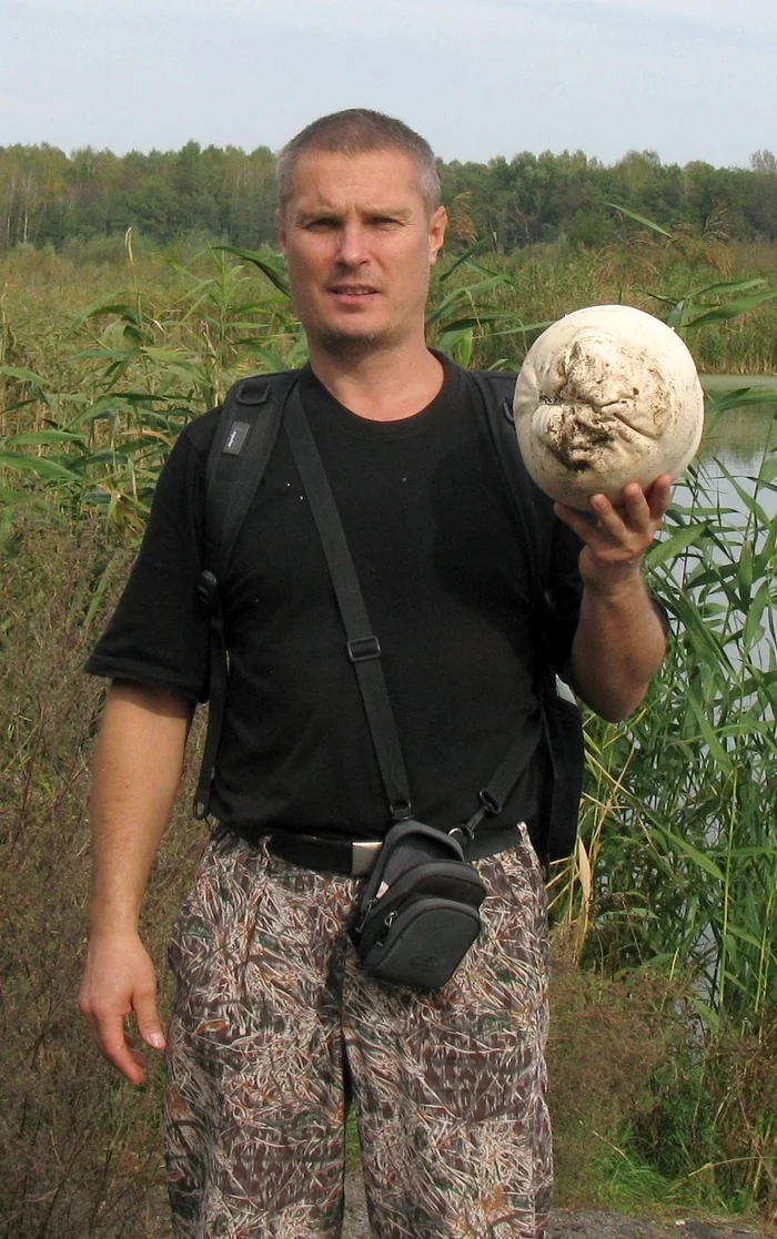 How to feed a family with one mushroom - My, Mushrooms, Raincoat