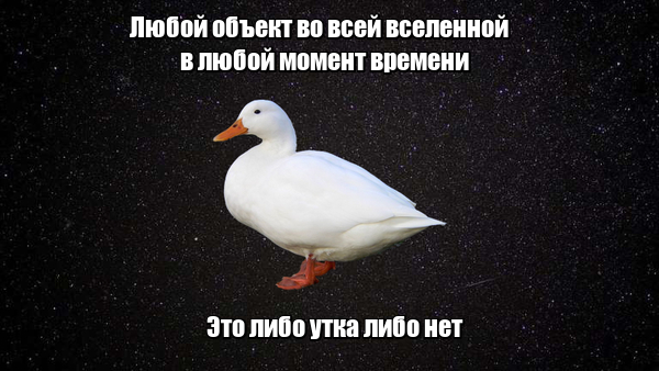 Верно сказано - Юмор, 9GAG