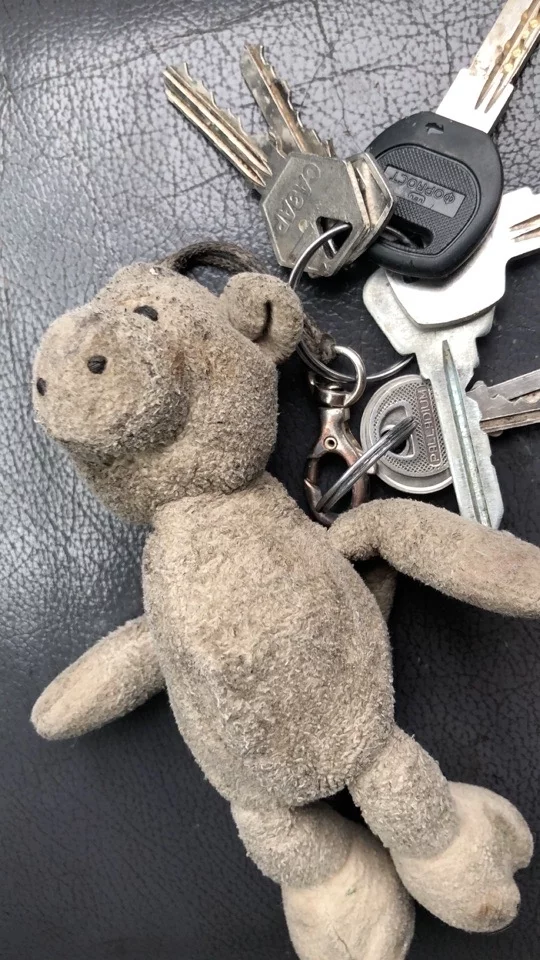 Found the keys - My, Novosibirsk, Lost and found