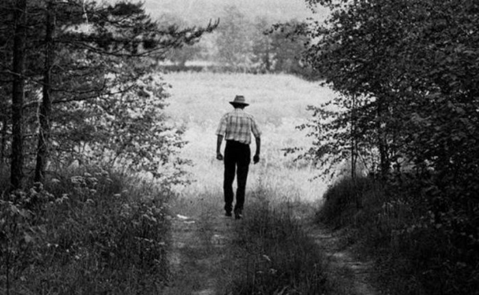 «Деменция» Варлама Шаламова