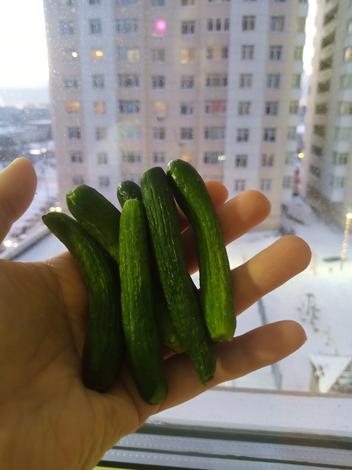 Нано-огурцы