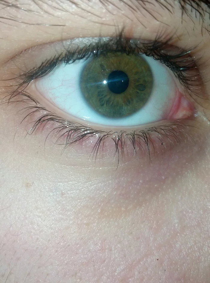 What eye color? - My, Eyes, Color, Longpost