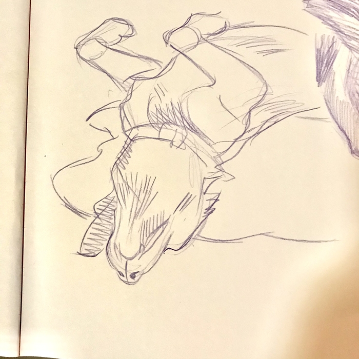 , , -,  , , 