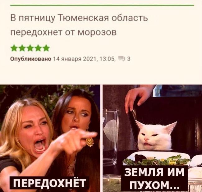 About the importance of the letter Y - Letter ё, freezing, Tyumen, Memes, Two women yell at the cat