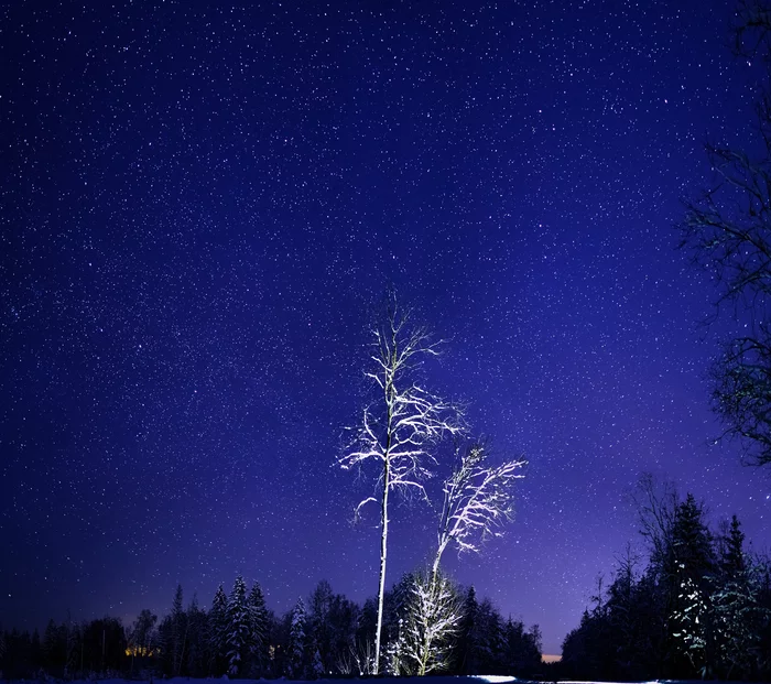 January 17. Moscow region - My, Night, Sky, Landscape, Stars, The photo, Nikon, Longpost