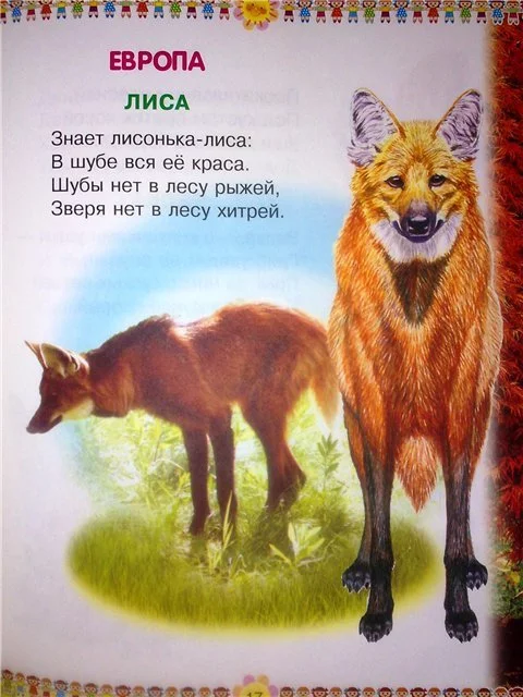Looking for a children's book by Vladimir Stepanov - Books, Children's literature, Looking for a book, Animals, Illustrations, Error, Help me find, Longpost
