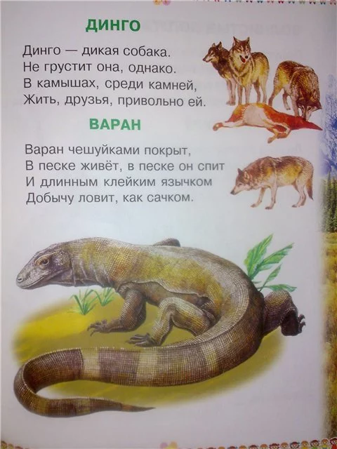 Looking for a children's book by Vladimir Stepanov - Books, Children's literature, Looking for a book, Animals, Illustrations, Error, Help me find, Longpost