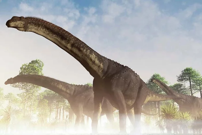 Найдены останки самого большого сухопутного животного за всю историю Земли Динозавры, Исследования, Научные открытия, Рекордсмен, Палеонтология, Длиннопост
