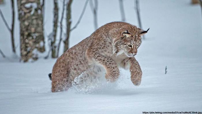 ����������� ����� ���� �� ������������ �������