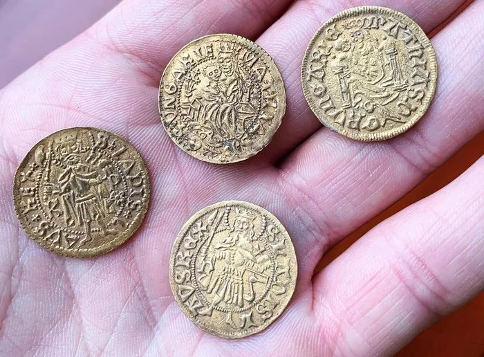 Treasure of 7,000 16th-century coins found in Hungary - Treasure, Ancient coins, Silver coins, Gold coins, Archaeologists, Story, Hungary, Excavations, , Luck, Luck