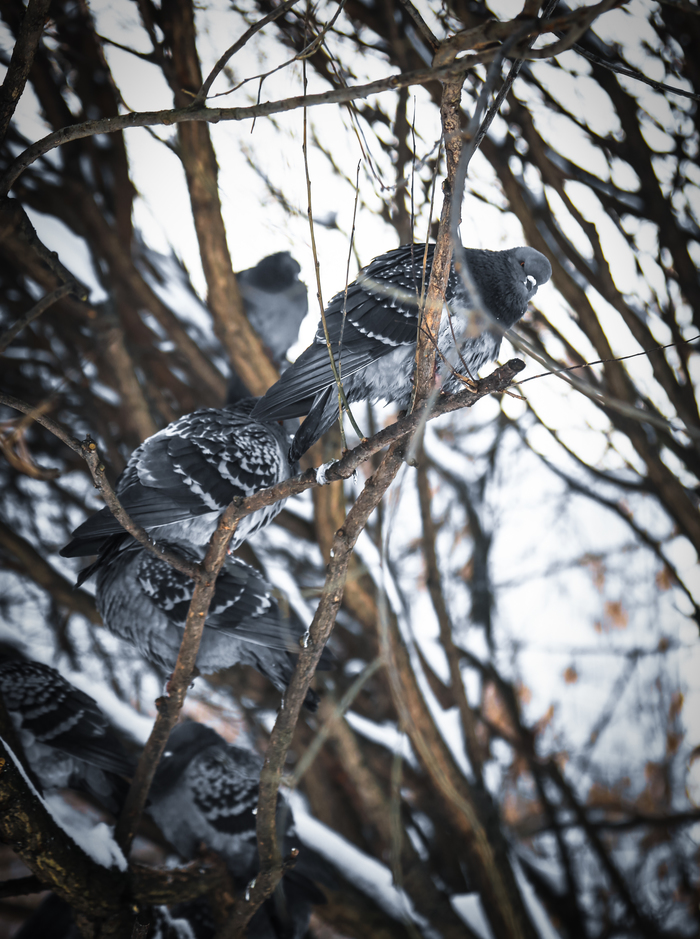 �������� ������