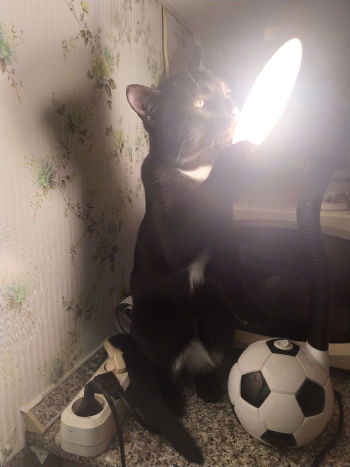    ,  ,  