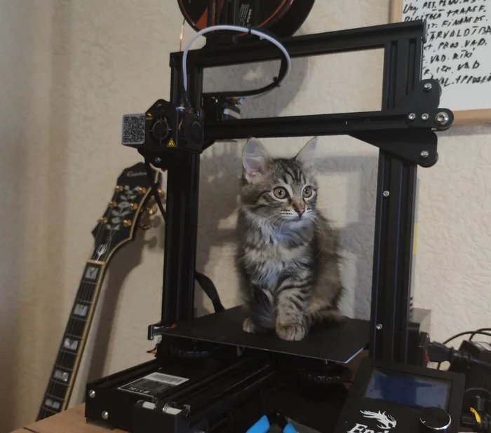 Like real - 3D printer, cat, Like real