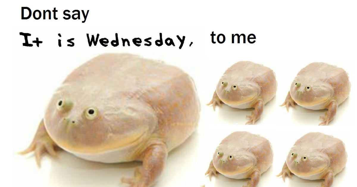 Its wednesday my dudes мем. It is Wednesday my dudes Мем. Жаба its Wednesday dudes. Wednesday my dudes лягушка. Мем its Wednesday.