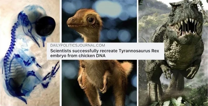 Steven Spielberg nervously smokes on the sidelines: scientists from the DNA of a chicken managed to grow an embryo ... TYRANNOSAURA (T-rex)!! - Laboratory, The science, Progress, Hen, Tyrannosaurus, Scientists, Madness