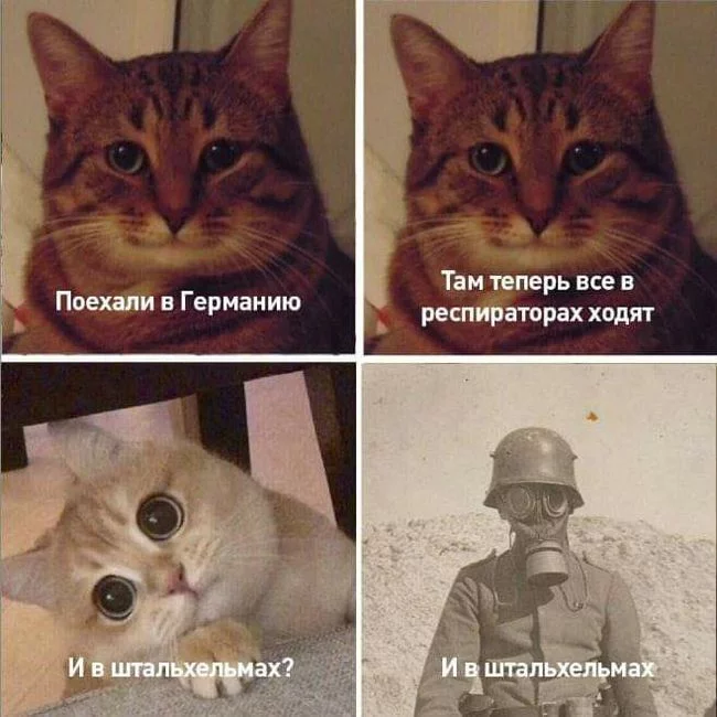 Aesthetics of retro militarism - Germans, Germany, World War I, Memes, cat